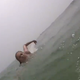 Illustration for article titled Selfie Stick Saves Teen From Drowning